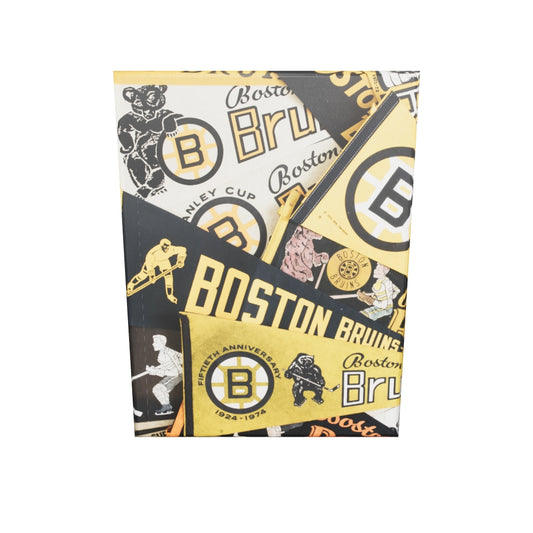 Boston Bruins