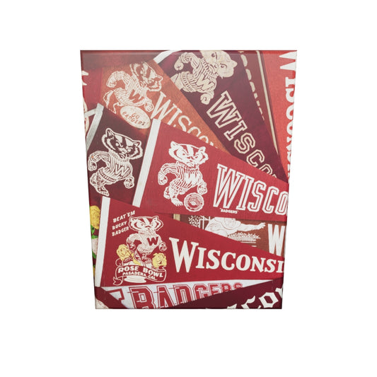 Wisconsin Badgers Vintage #1